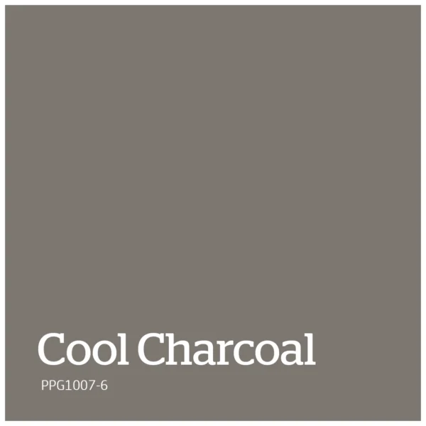 PPG1007 6 – Cool Charcoal