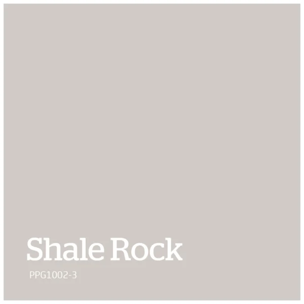 Shale Rock – PPG1002 3