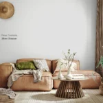 Silver Shadow kleur voorbeeld