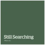 Still Searching – PPG13 31