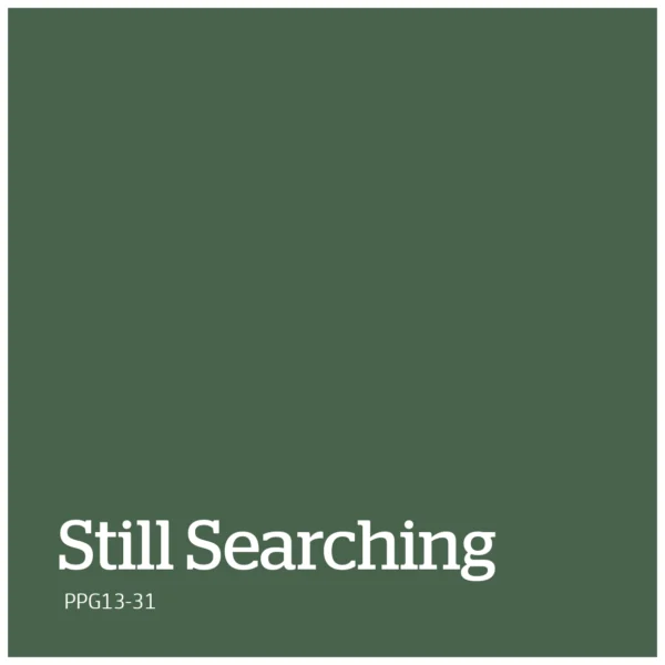 Still Searching – PPG13 31