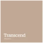 Transcend – PPG1079 4
