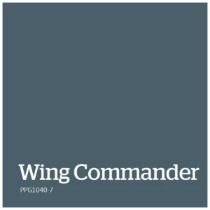 Wing Commander – PPG1040 7