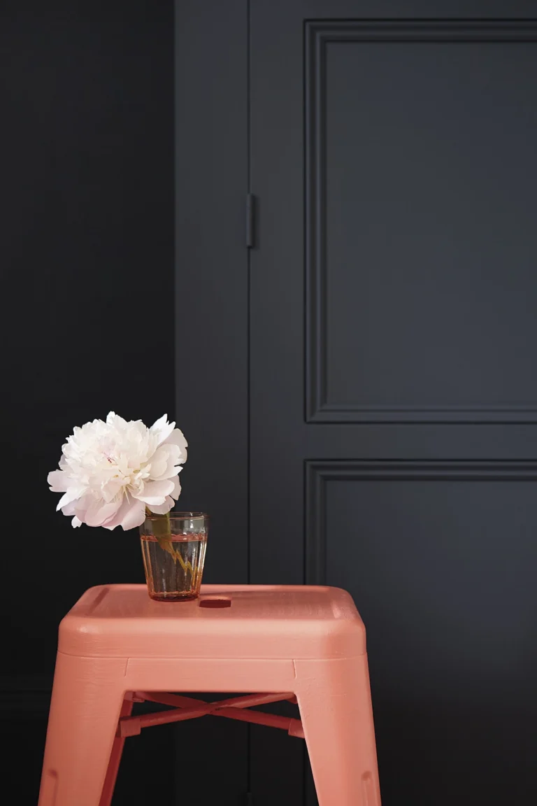 Zwarte Little Greene kleuren