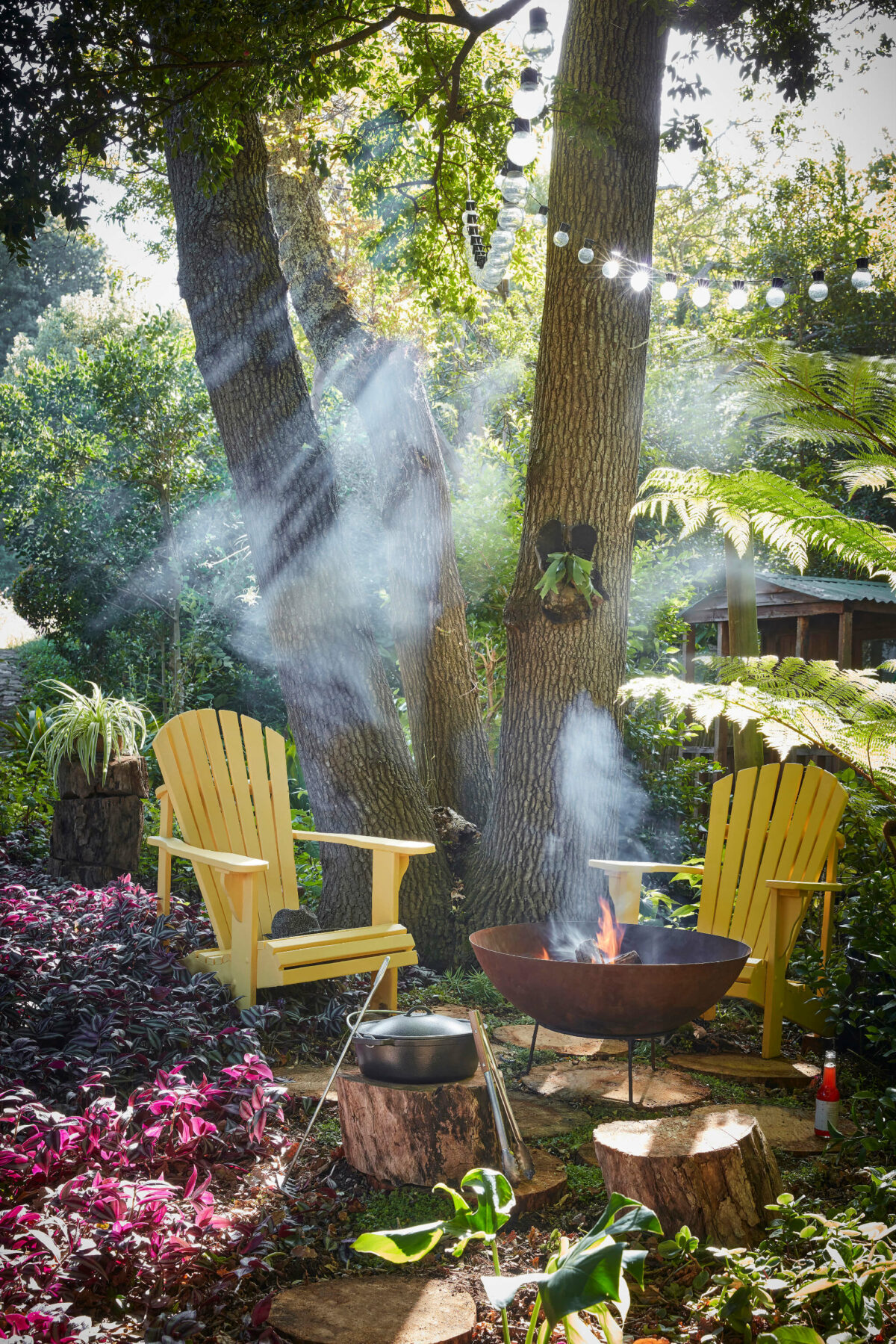 Little Green  Giallo 337