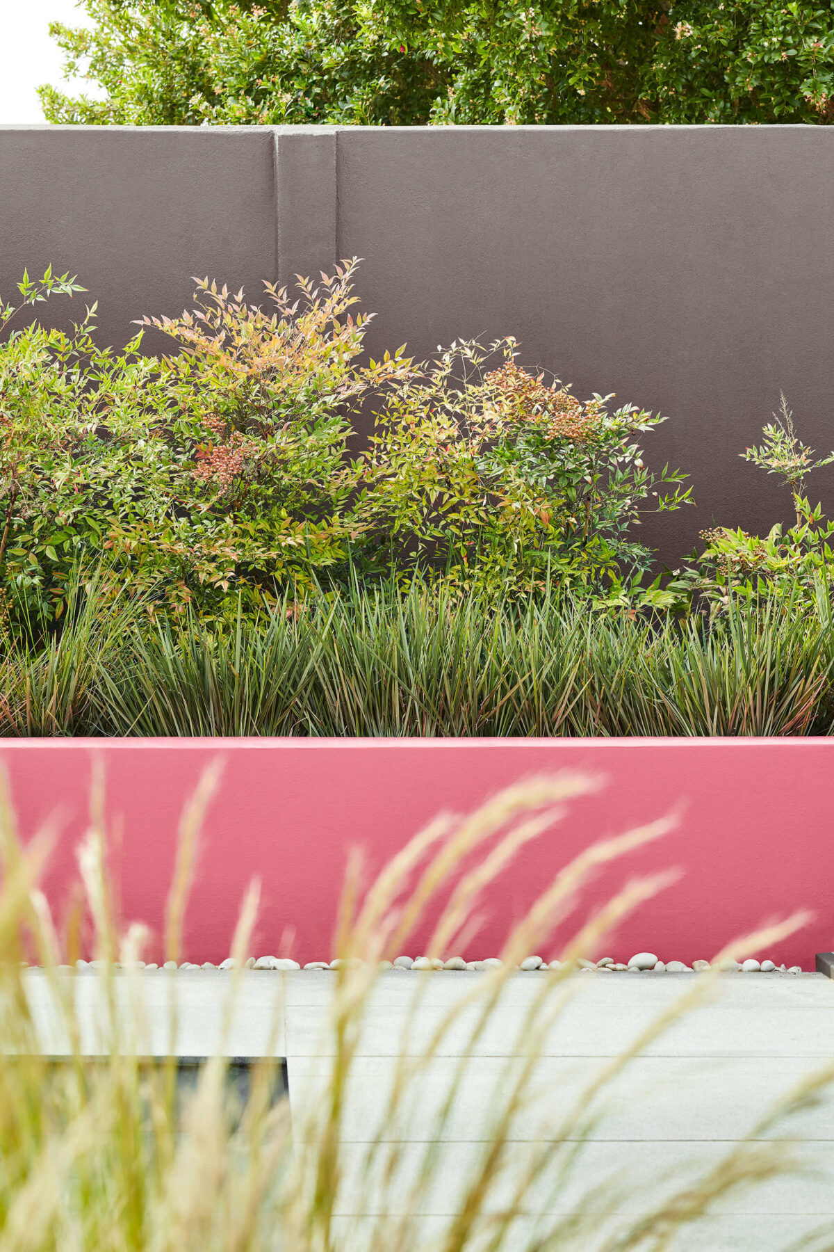 Little Green  Knightsbridge 215, Carmine 189