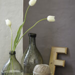 Little Green  Knightsbridge 215, Down 242