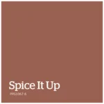 PPG1067 6 – Spice It Up