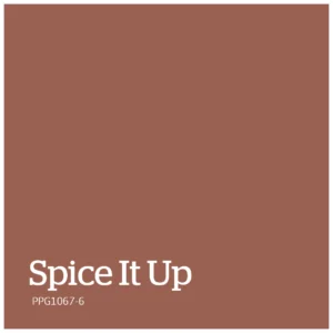 PPG1067 6 – Spice It Up