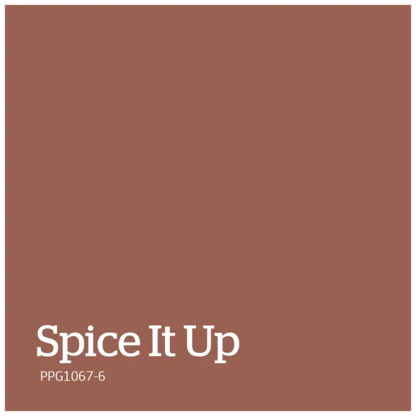 PPG1067 6 – Spice It Up