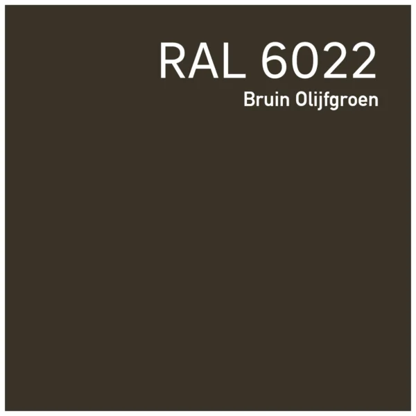 RAL 6022 Bruin olijfgroen