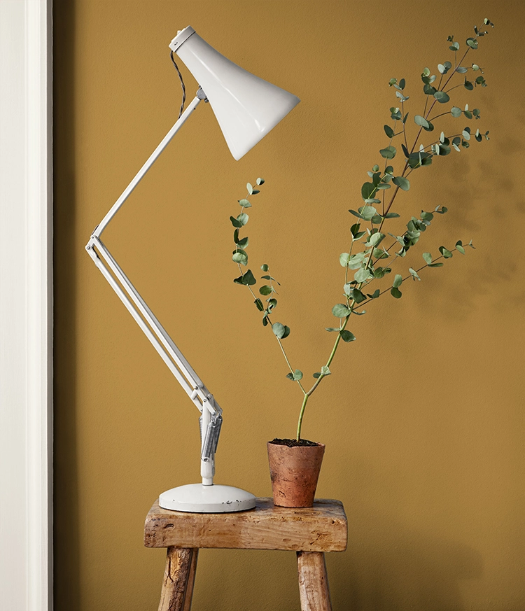 Kleur Modern Klassiek Amber muurverf