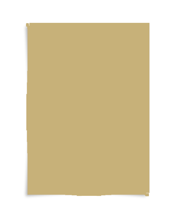 Real Olive kleurstaal A4