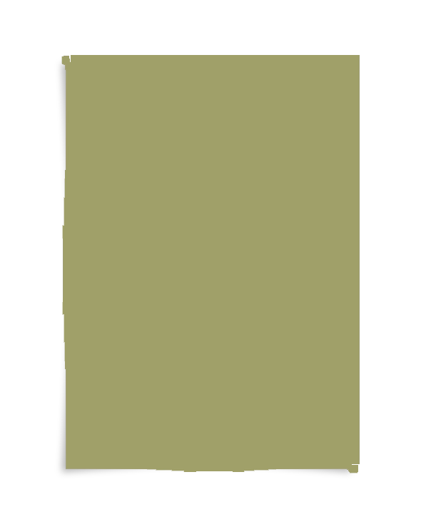 Real Pistache kleurstaal A4