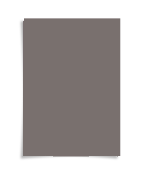 Real Taupe kleurstaal A4