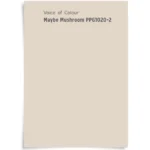 Maybe Mushroom PPG kleur