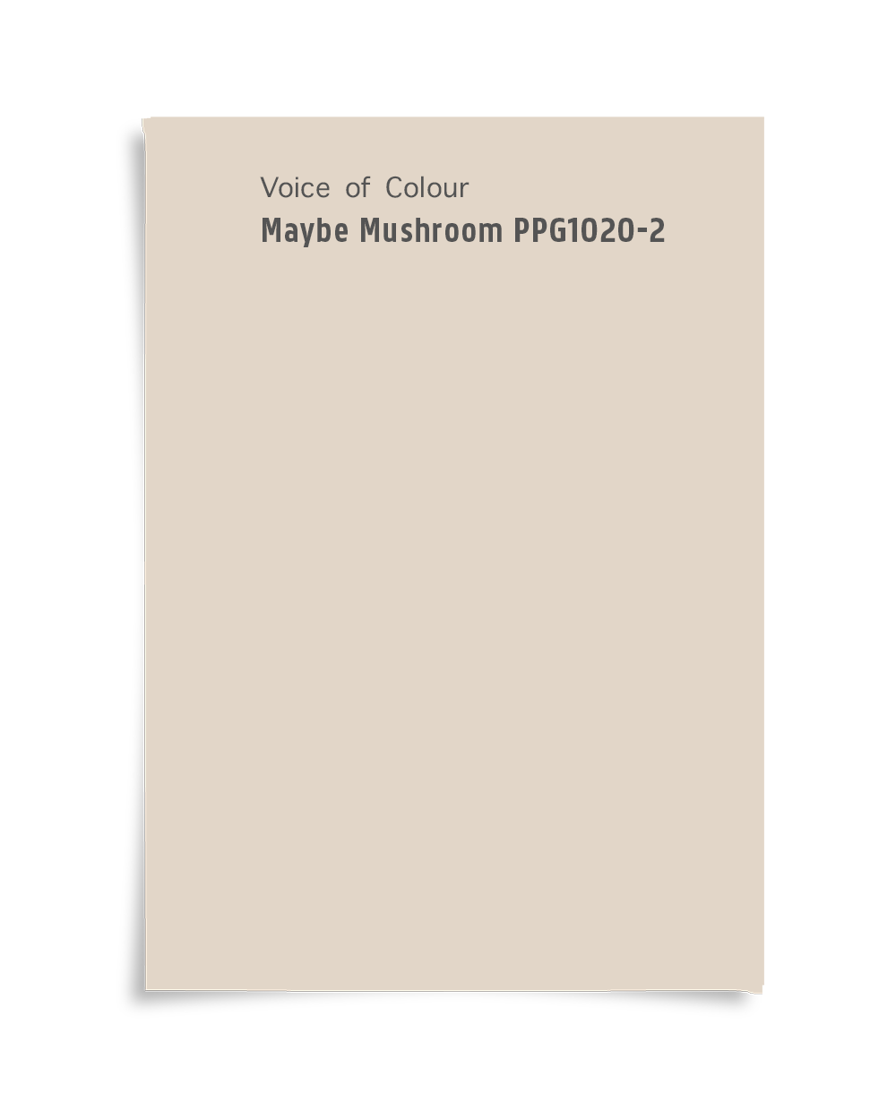 Maybe Mushroom PPG kleur