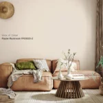 Maybe Mushroom kleur