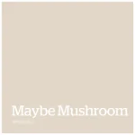 Maybe Mushroom kleur PPG1020 2