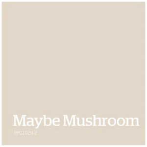Maybe Mushroom kleur PPG1020 2
