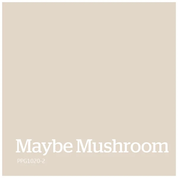 Maybe Mushroom kleur PPG1020 2