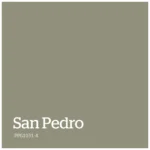 San Pedro   PPG1031 4