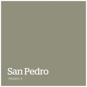 San Pedro   PPG1031 4
